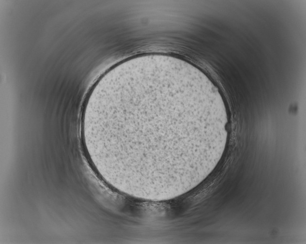 X0000114410795200911131427