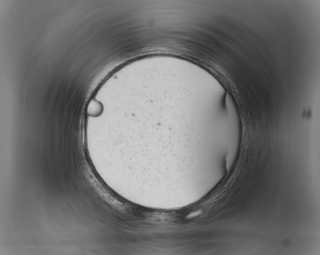 X0000114410796200911131427