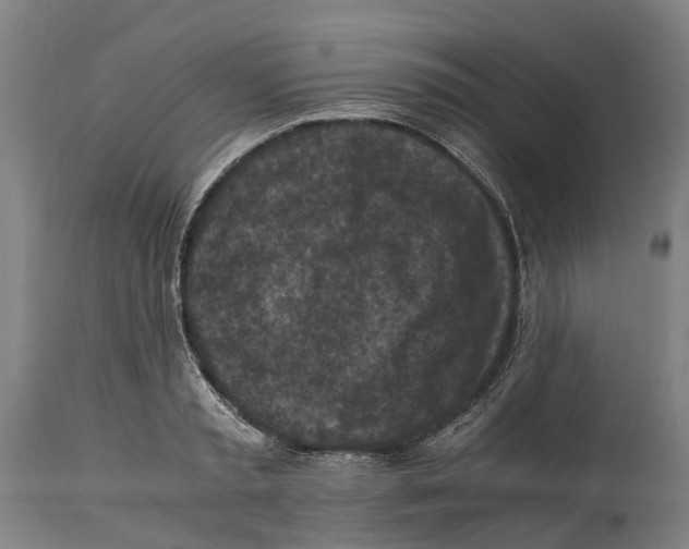 X0000114410797200911131427