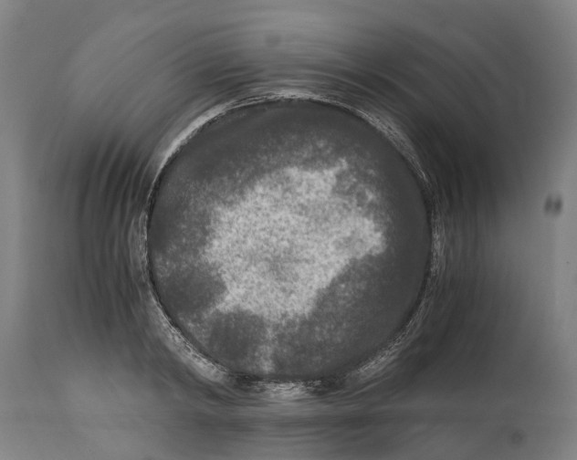 X0000114410798200911131427