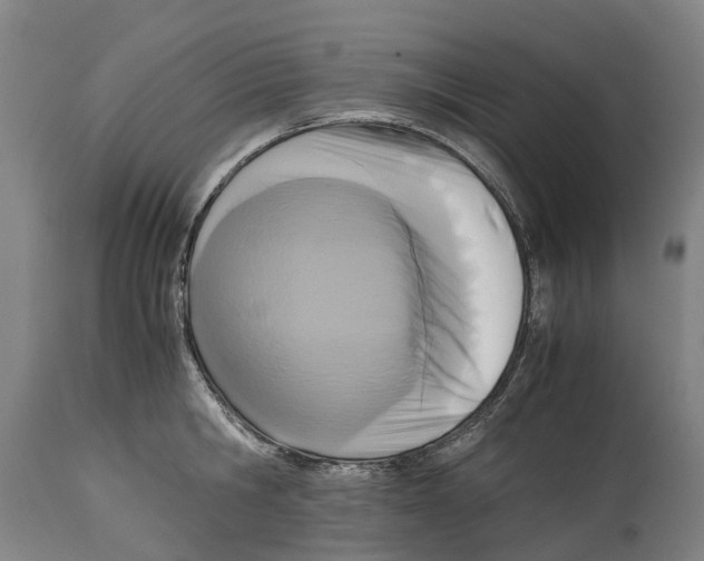 X0000114410806200911131427