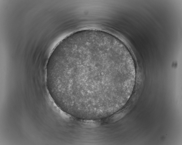 X0000114410807200911131427