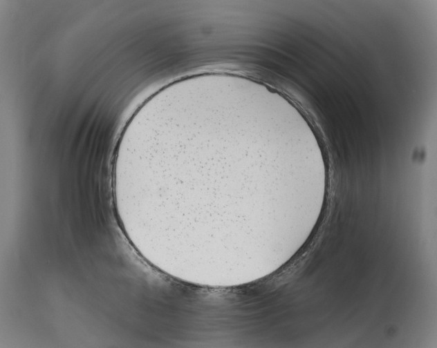 X0000114410808200911131427