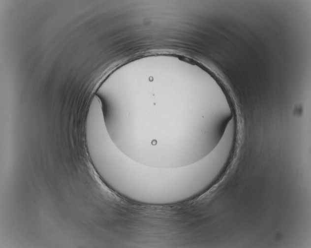 X0000114410809200911131427