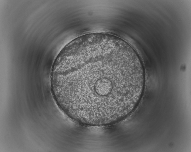 X0000114410810200911131427