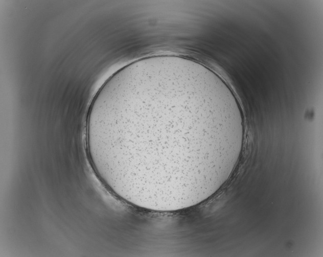 X0000114410811200911131427