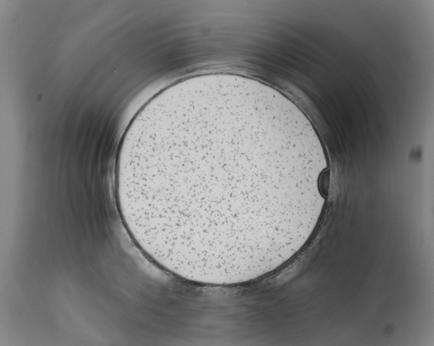 X0000114410812200911131427