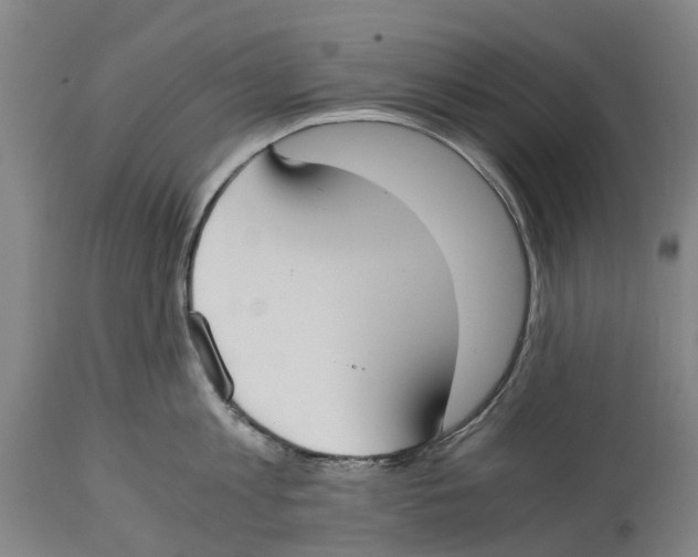 X0000114410813200911131427