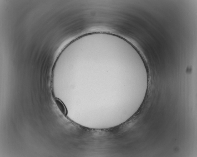 X0000114410815200911131427