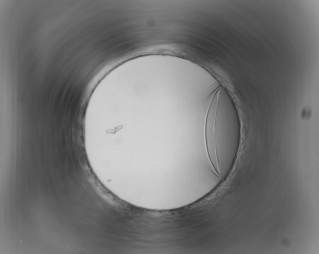 X0000114410816200911131427