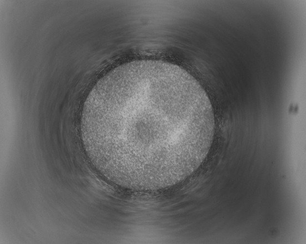 X0000114410817200911131426