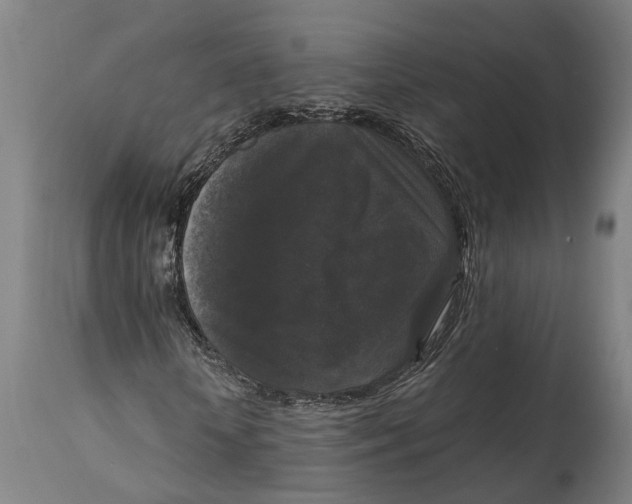 X0000114410818200911131426