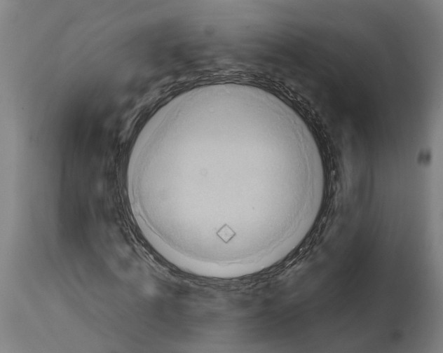 X0000114410820200911131426