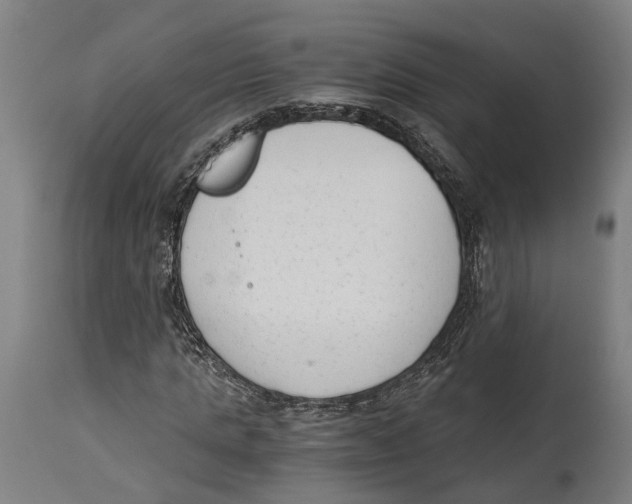 X0000114410821200911131426