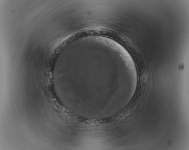 X0000114410822200911131426