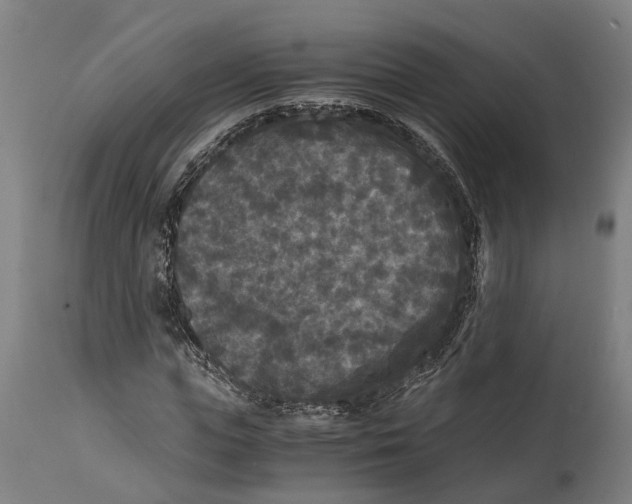 X0000114410823200911131426