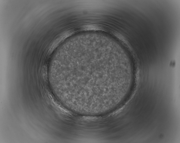 X0000114410825200911131426