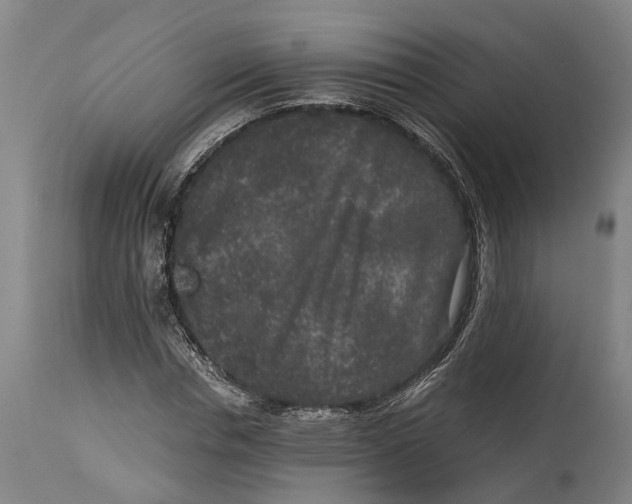 X0000114410826200911131426