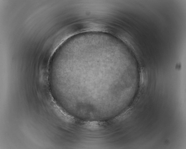 X0000114410828200911131426