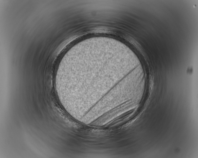 X0000114410829200911131426