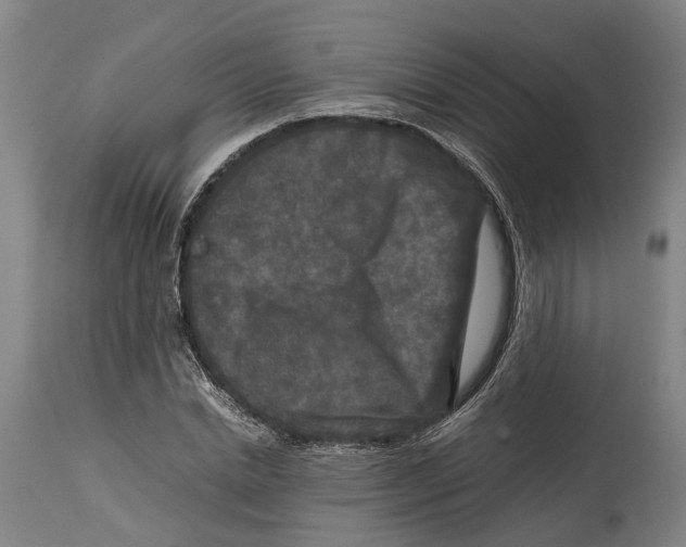 X0000114410830200911131426