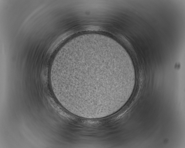 X0000114410831200911131426