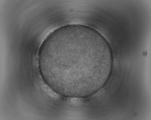 X0000114410832200911131426