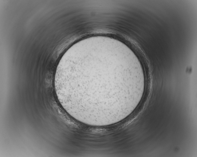 X0000114410833200911131426