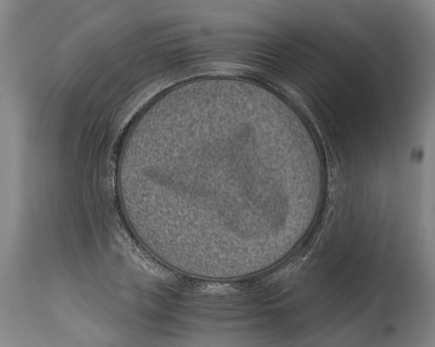 X0000114410835200911131426