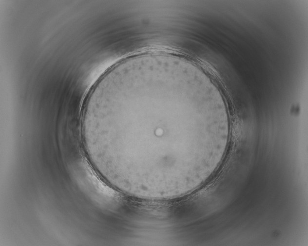 X0000114410836200911131426