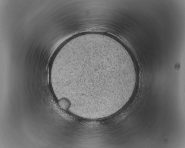 X0000114410838200911131426