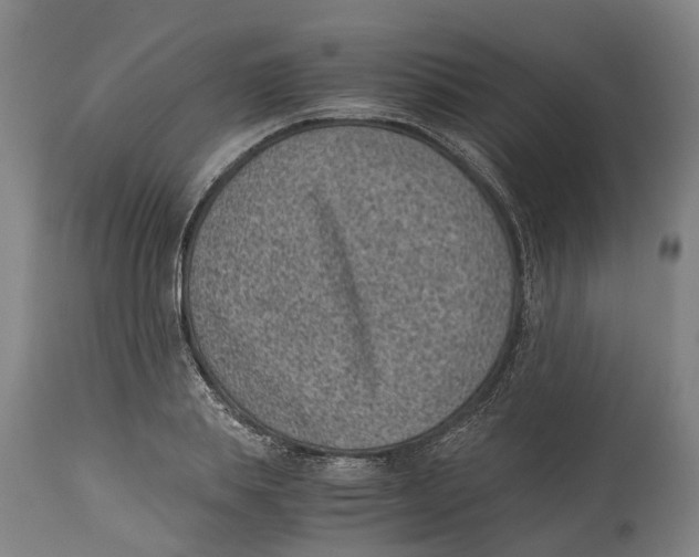 X0000114410839200911131426