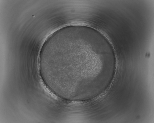 X0000114410840200911131426