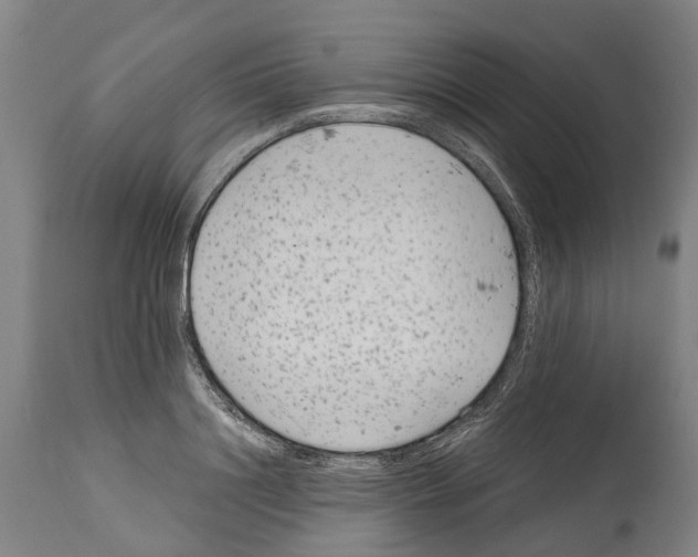 X0000114410844200911131426