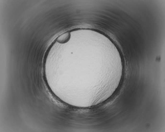 X0000114410845200911131426