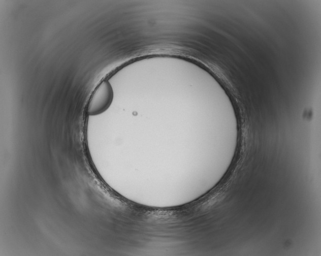 X0000114410846200911131426