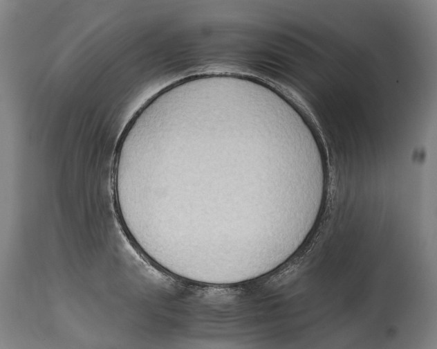 X0000114410847200911131426