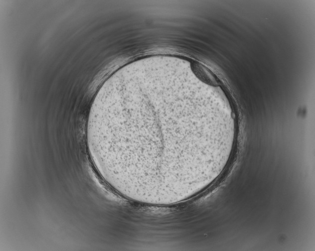 X0000114410849200911131426