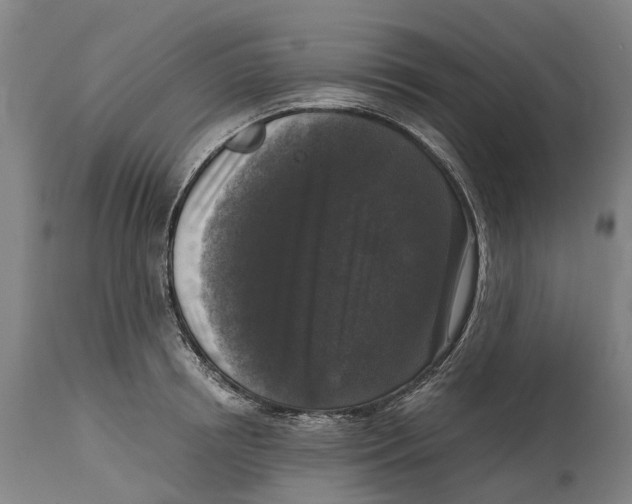 X0000114410850200911131426