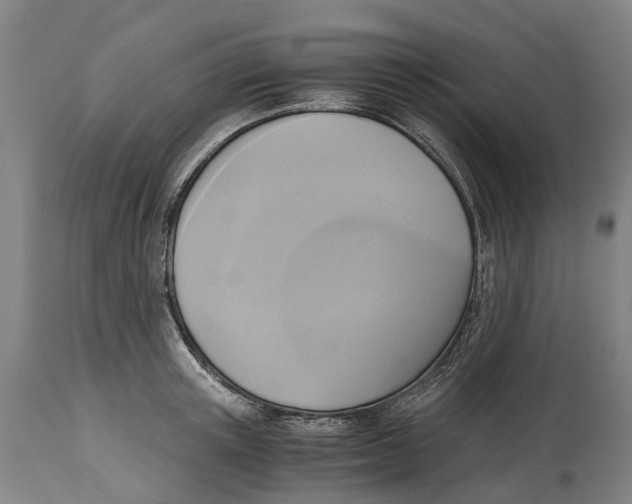 X0000114410851200911131426