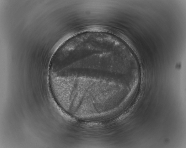 X0000114410853200911131426