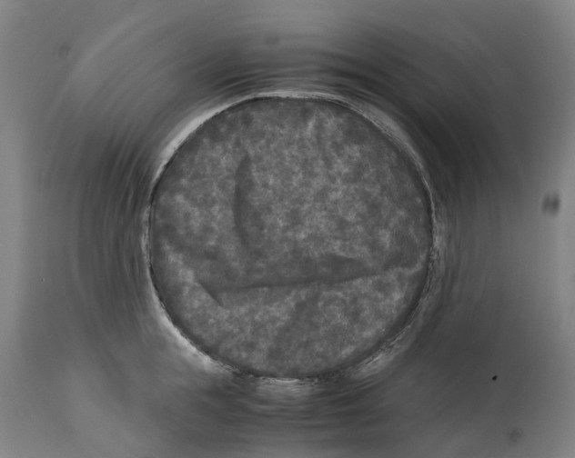 X0000114410855200911131426