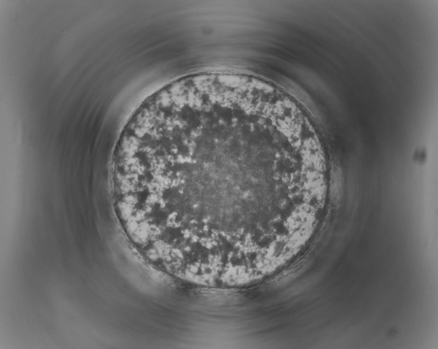 X0000114410856200911131426