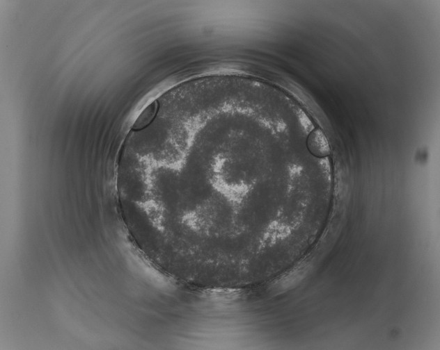 X0000114410858200911131426