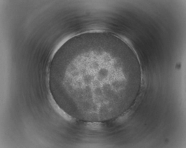 X0000114410859200911131426