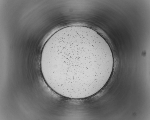 X0000114410860200911131426