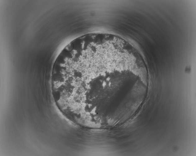 X0000114410863200911131427