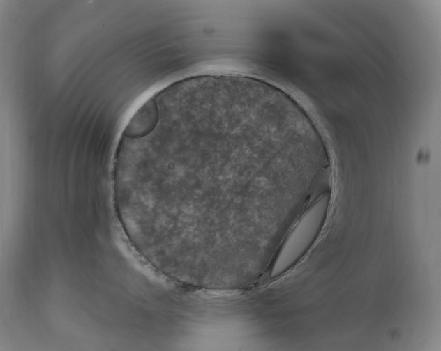 X0000114410864200911131427