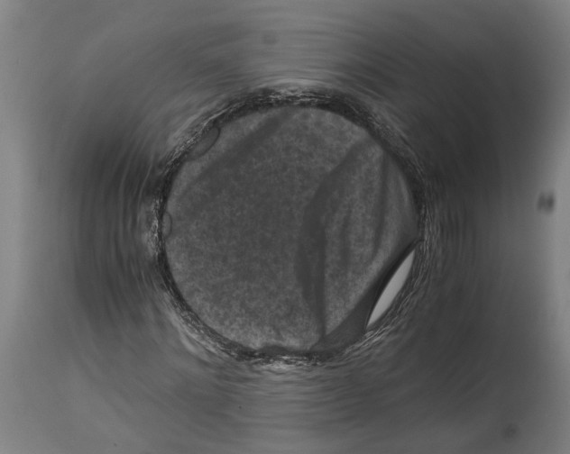 X0000114410868200911131426