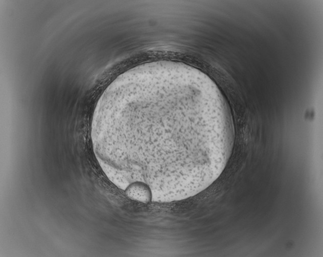 X0000114410870200911131426